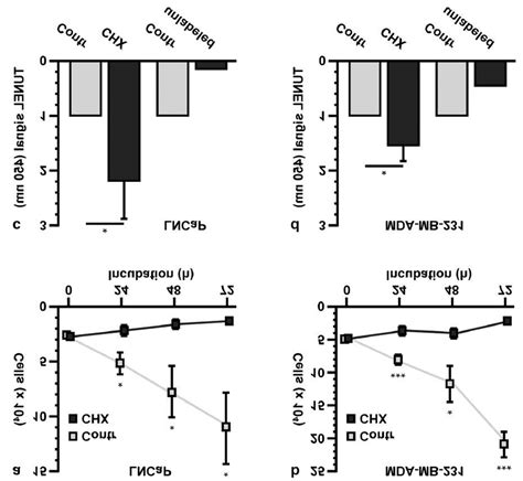 Apoptotic Efficacy Of Cycloheximide CHX In An In Vitro LNCaP And