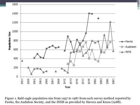 Bald Eagle Age Chart