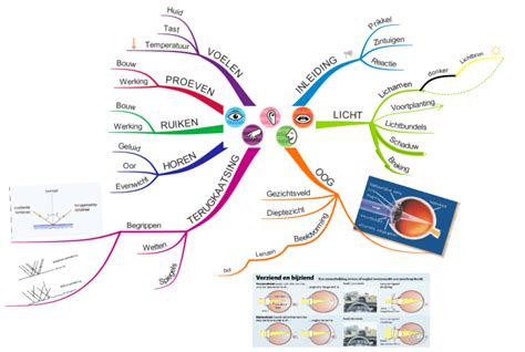 Zintuigen Senses Imindmap Mind Map Template Biggerplate