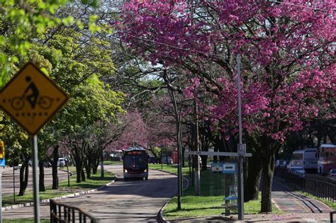 Que Dia Começa A Primavera Em 2025 - 7
