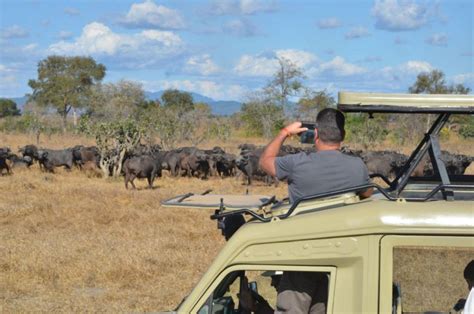 From Zanzibar Nyerere National Park Day Safari With Flights Getyourguide