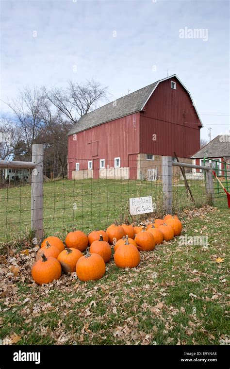 Pumpkin patch red barn hi-res stock photography and images - Alamy