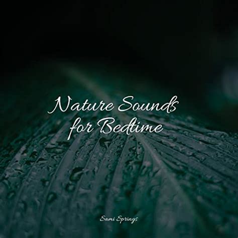 Nature Sounds For Bedtime Von Nature Sounds Artists Anxiety Relief