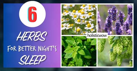 6 Best Herbs for a Better Night’s Sleep