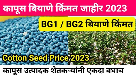 कापूस बियाणे किंमत 2023 जाहीर Bg1bg2 प्रति पॅकेट दर कपाशी वाण किंमत Cotton Seeds Price