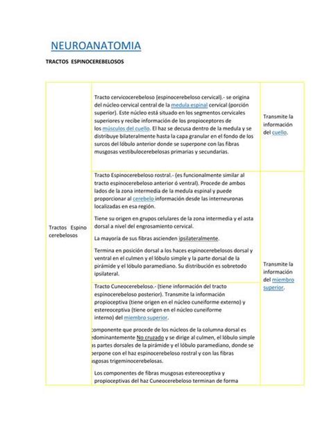 NEUROANATOMIA Apuntes y Resúmenes médicos uDocz