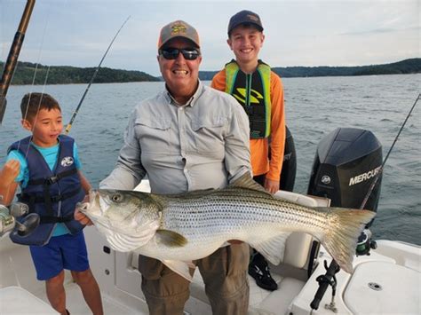 Beaver Lake Striped Bass Fishing Report Guided Striper