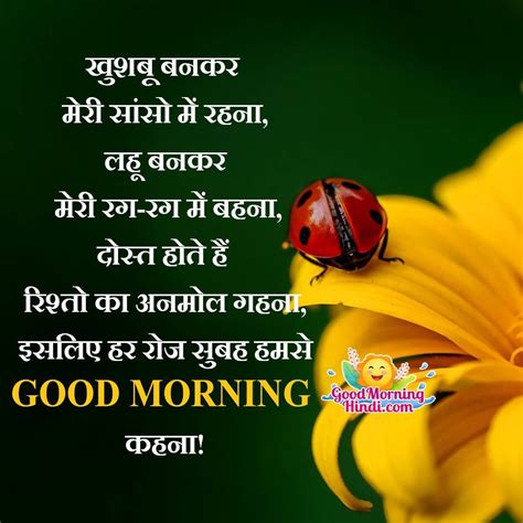 Best Good Morning Shayari In Hindi Good Morning Wishes Images In Hindi