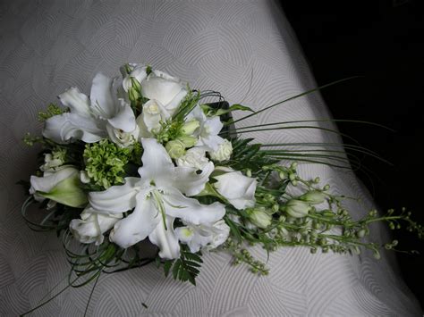 Banco de imagens plantar branco flor pétala verde Casamento