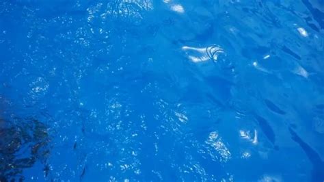 Beautiful Blonde Girl In Bikini Is Swimm Stock Video Pond5