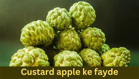 Custard Apple Benefits सीताफल के फायदे उपयोग संपूर्ण जानकारी