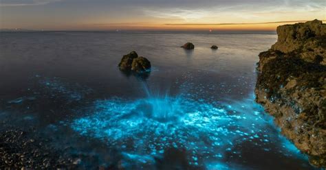 Bioluminesc Ncia Onde Encontrar Praias Paradis Acas Que Brilham No