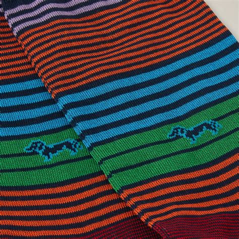 Chaussettes Basses Rayures Multicolores