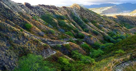 Diamond Head (Leahi) Hiking Trail Information & More | Oahu Hawaii