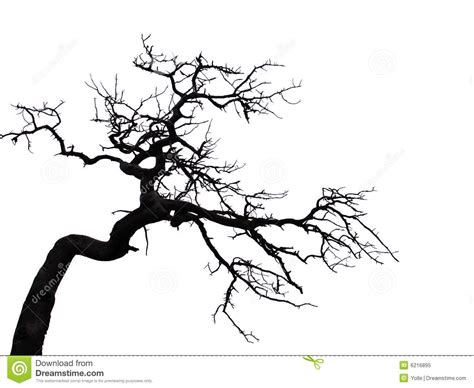 Spooky Tree Drawing | Free download on ClipArtMag