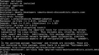 Linuxenio Configurar Ip Fija En Server Ubuntu