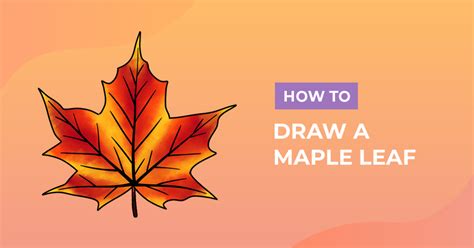 Simple Maple Tree Drawing