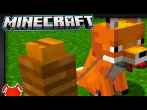 COMO DOMESTICAR UMA RAPOSA NO MINECRAFT YouTube