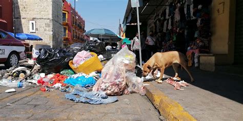 Crisis Rebasa A Empleados Sin Reanudarse Recolecci N De Basura En