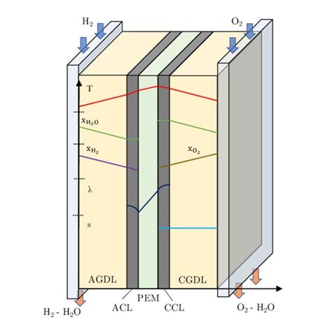 3d Representation Of A Polymer Electrolyte Membrance Fuel Cell Pemfc