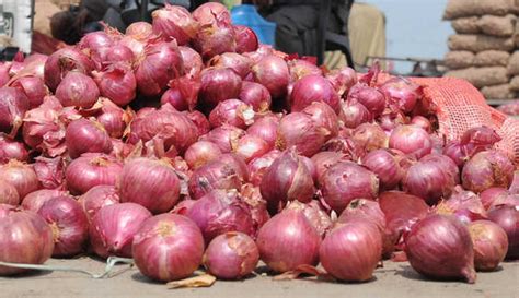 Demonetisation Hits Onion Supply Shortage Ahead The Tribune India