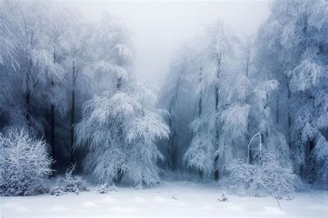 Beautiful Winter Landscapes | Others