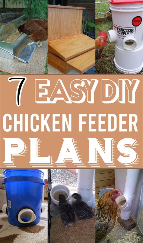 7 DIY Chicken Feeder Plans For Farms - The Newlywed