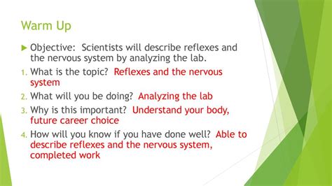 Warm Up Objective Scientists Will Describe Reflexes And The Nervous