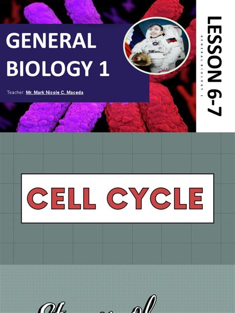 General Biology 1 A Comprehensive Review Of Meiosis Chromosomes And