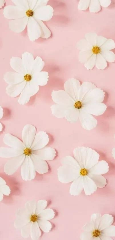 Floral Bliss Pink Wallpaper - free download