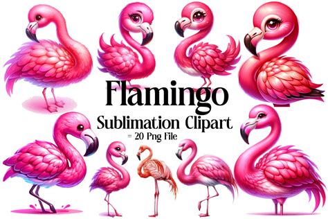 Flamingo Sublimation Clipart Graphic By Smmedia Creative Fabrica