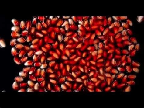 Erotic food 1 - YouTube