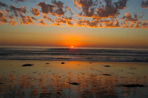 The Camp Store South Carlsbad State Beach