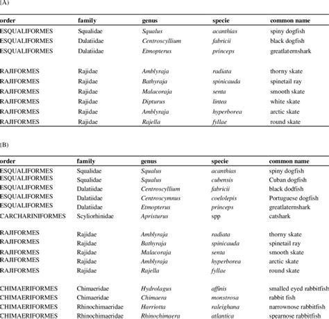 List of elasmobranch species caught in the EU summer surveys in Div.... | Download Table