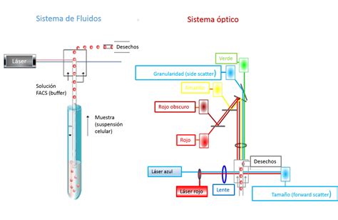 Unidad de Citometría