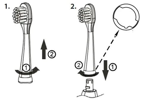 truelife  sonicbrush kid  user manual