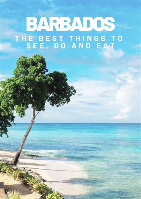 A Tree On The Beach With Text That Reads Barbados The Best Things To