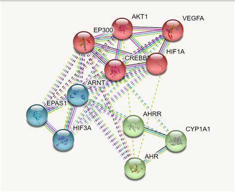 Protein Interactions