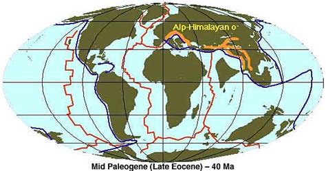 Paleogene Period Natural History Museum