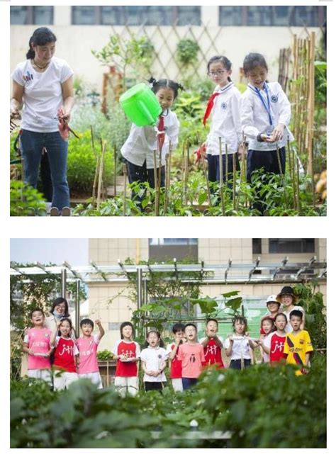 雨花区泰禹第二小学以“劳”育德，“动”出精彩 未来之星 新湖南