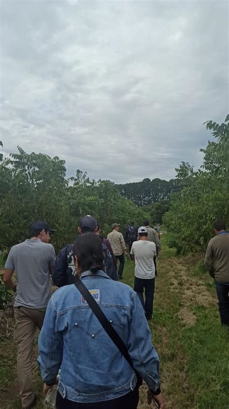 Curso T Cnico Em Fruticultura Se Re Ne Em Seu Primeiro Encontro