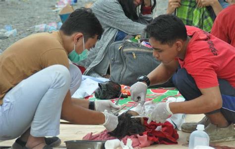 Tim Medis Diberangkatkan Dari Bali Bantu Korban Gempa Palu