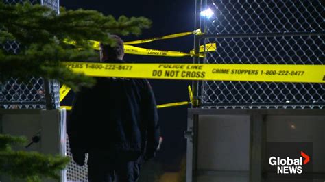 Calgary Police Investigate Deadly Stabbing In Bowness Watch News