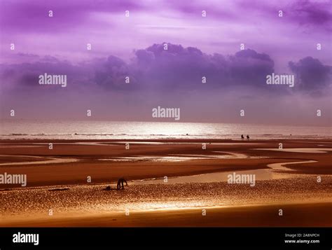 Horseback riding on the beach at sunset Stock Photo - Alamy