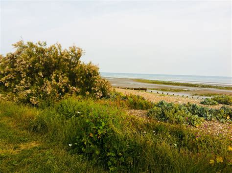 Kingston Gorse, Ferring, W.Sussex