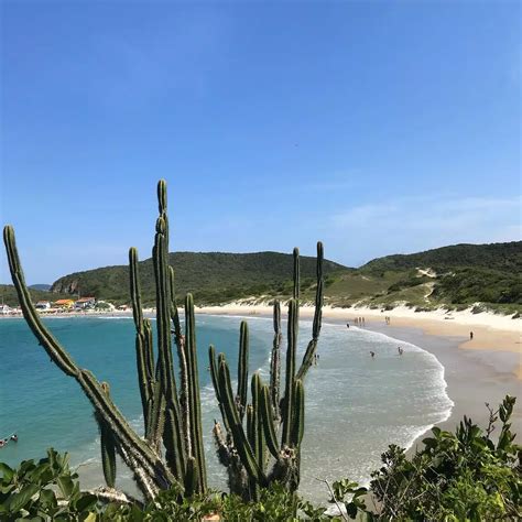 Praia Do Forte Em Cabo Frio Um Para So Para Todos Os Gostos