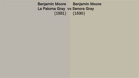 Benjamin Moore La Paloma Gray Vs Senora Gray Side By Side Comparison