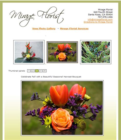 Portfolio Web Design Mirage Florist Kreck Design