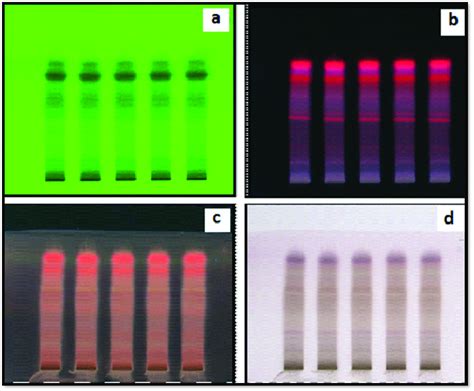 A HPTLC Fingerprinting At 254 Nm B HPTLC Plate Observation At 366