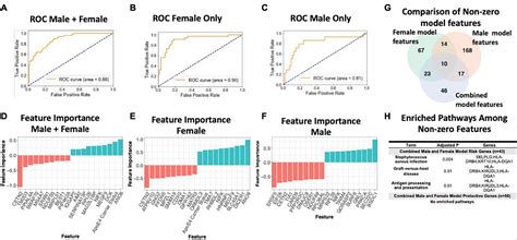 Frontiers Sex Specific Cross Tissue Meta Analysis Identifies Immune